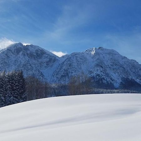 'Dasbergblick' Altaussee Exterior photo